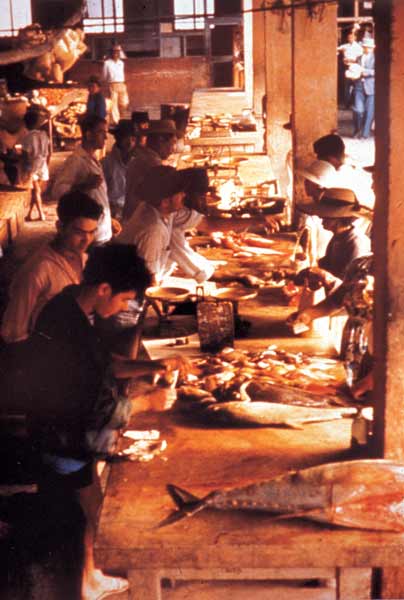 Intérieur du Marché Couvert en 1970 - Source Ville du Port