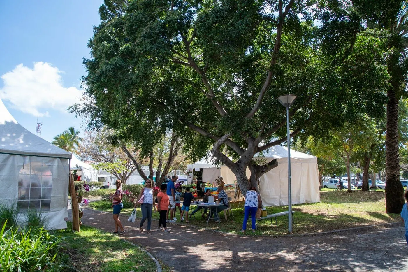 72486488_10158821612664097_4870639067106115584_o