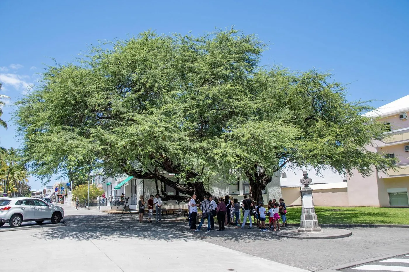 73399963_10158899808629097_854604307566166016_o