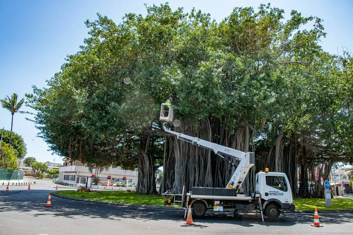 74666172_10158877089239097_7058486774804250624_o