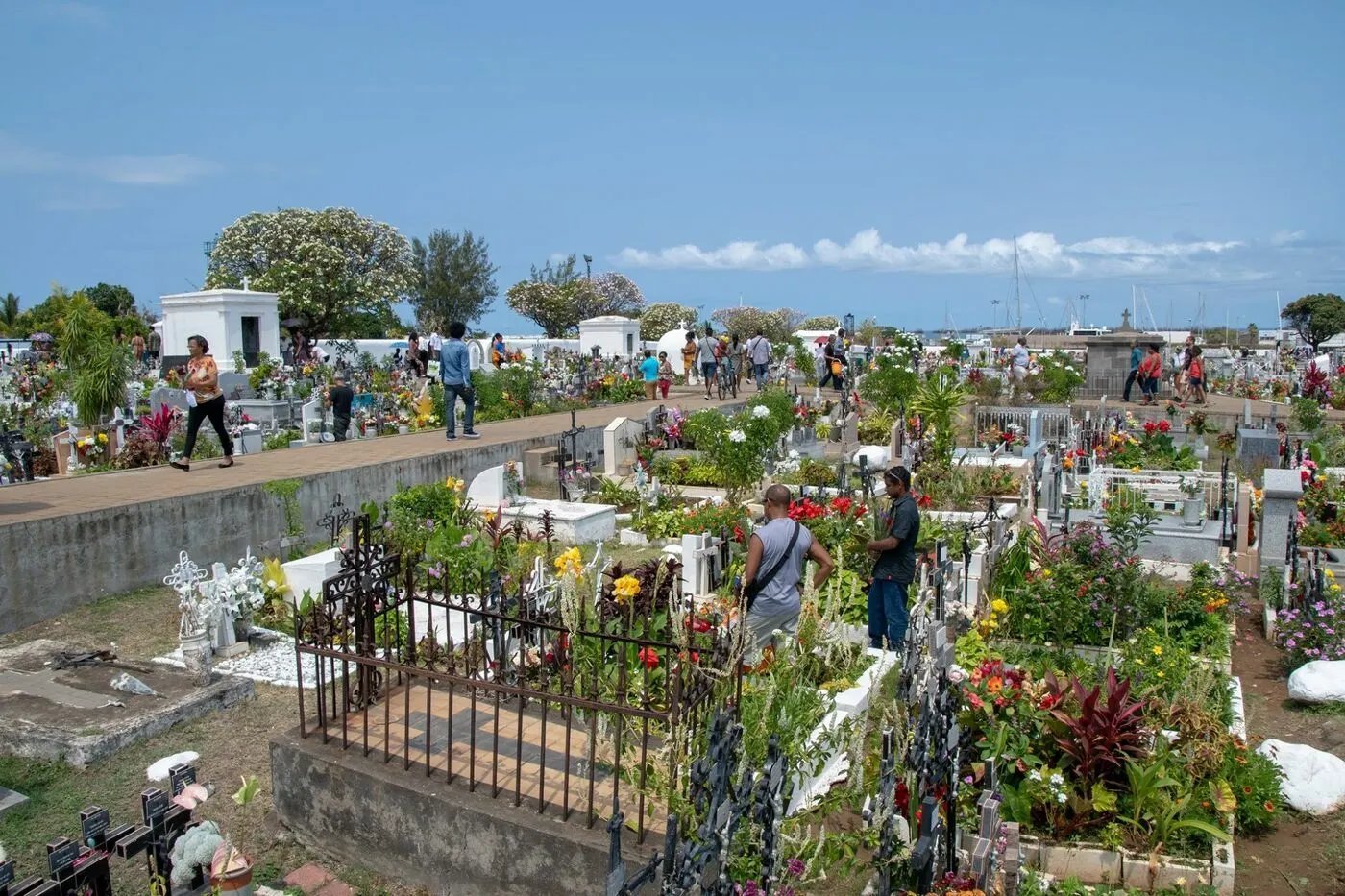 76654209_10158888147909097_1016466575387000832_o