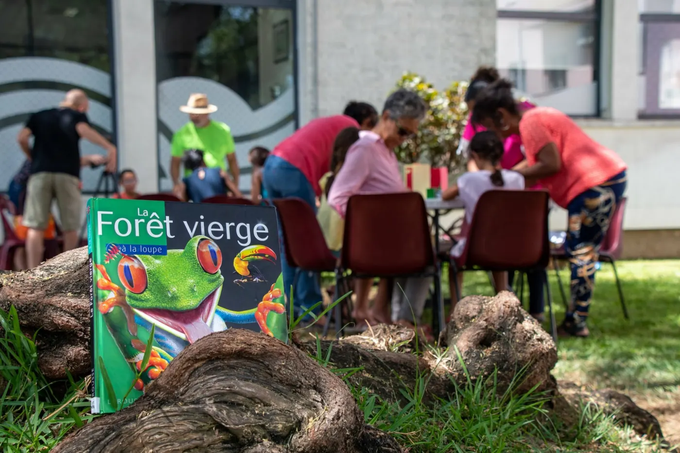 Pié zépinar : « l’arbre à lire » a besoin de vos votes