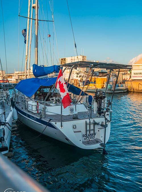 Le port de plaisance accueille le World Arc