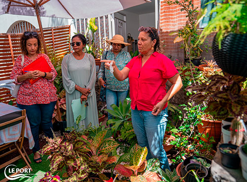 Concours : visite des jardins et balcons fleuris du Port