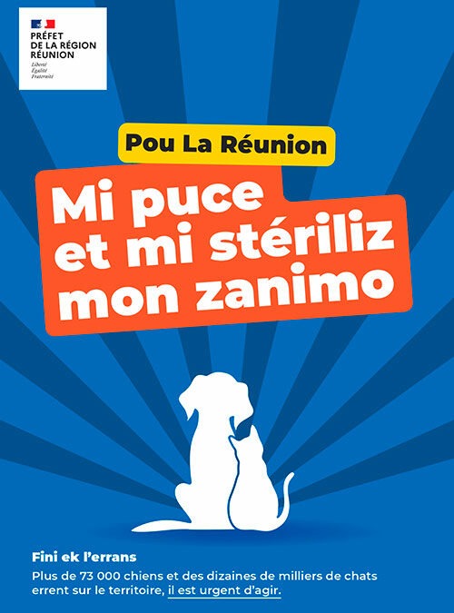 Campagne de stérilisation des animaux