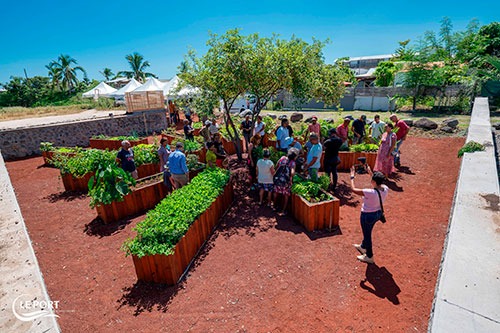 Inauguration du jardin partagé de la berge de la Rivière des Galets