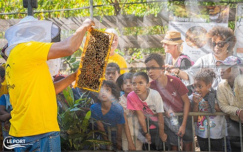 Apidays 2025 : les écoliers du Port à la découverte du monde des abeilles
