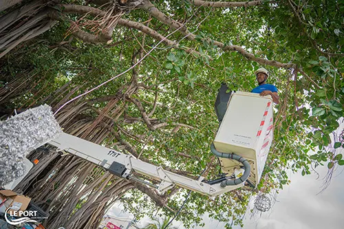 [Le Port en fête] J-7 avant les illuminations