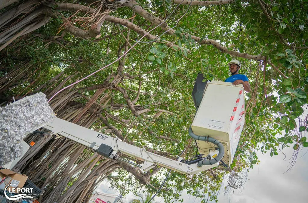 [Le Port en fête] J-7 avant les illuminations