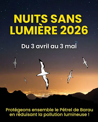 Le Port engagée dans la lutte contre la pollution lumineuse