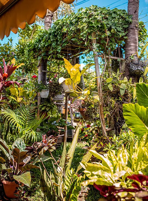 Inscriptions en cours pour le concours Jardins et balcons fleuris 2026