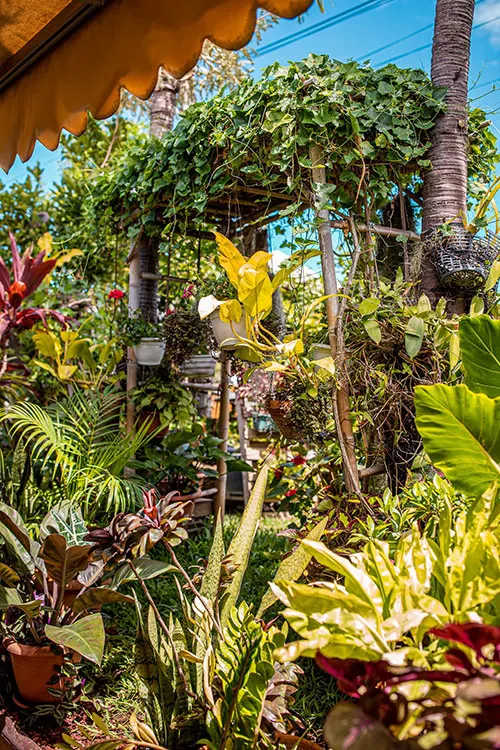 jardinbalcon