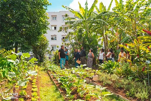 Jardin partagé : le jardin Mont-Fleuri fête ses 10 ans